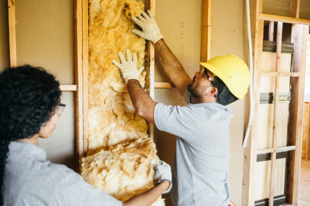 Best Insulation Repair Services  in Sleepy Hollow Lake, NY