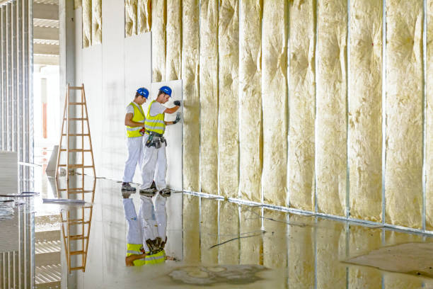 Best Local Insulation Services  in Sleepy Hollow Lake, NY